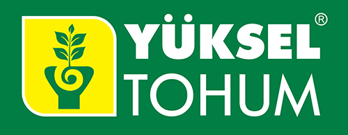 ytohum
